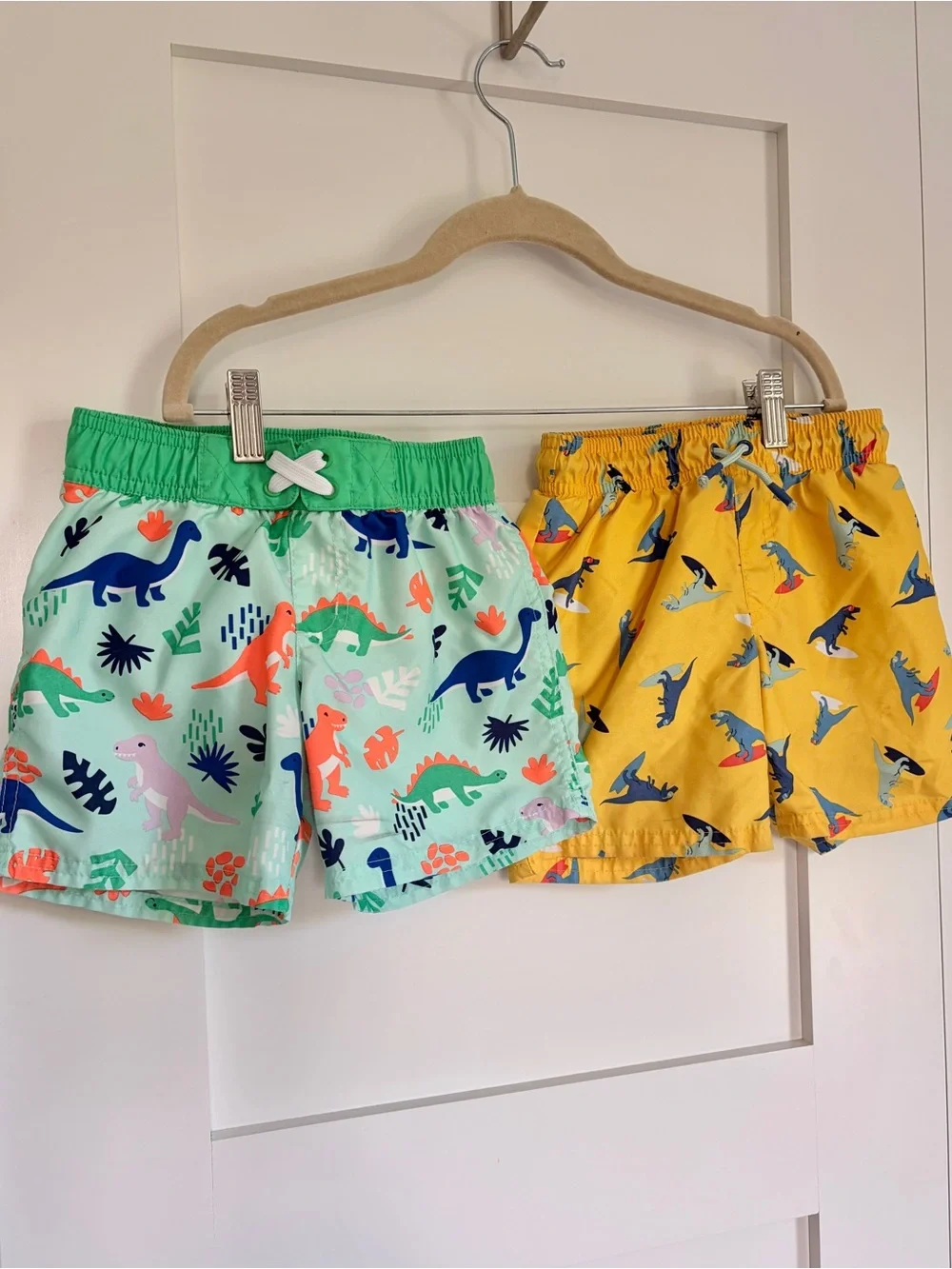 Cat & Jack 4T Dino swim trunks bundle